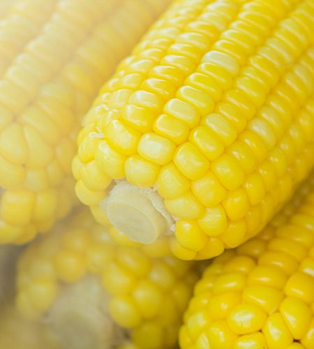 Fresh steaming corn on the cob, perfect for a healthy and nutritious meal.