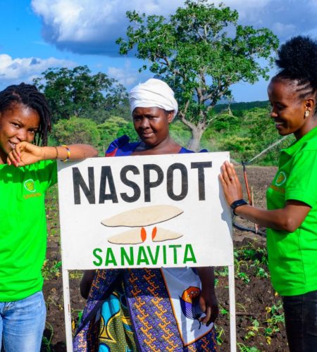 project-90-scaled-scaled